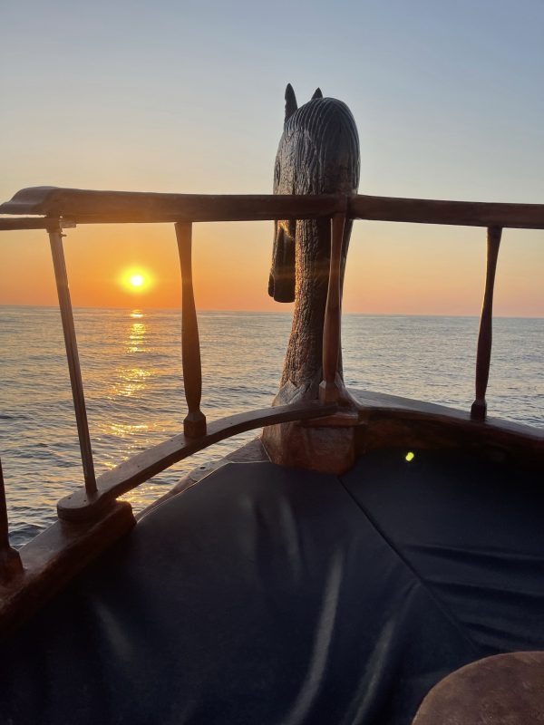 Boat Experience